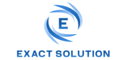 Exact Solution